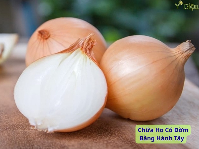 Cách Chữa Ho Có Đờm Bằng Hành Tây Hiệu Quả Tại Nhà